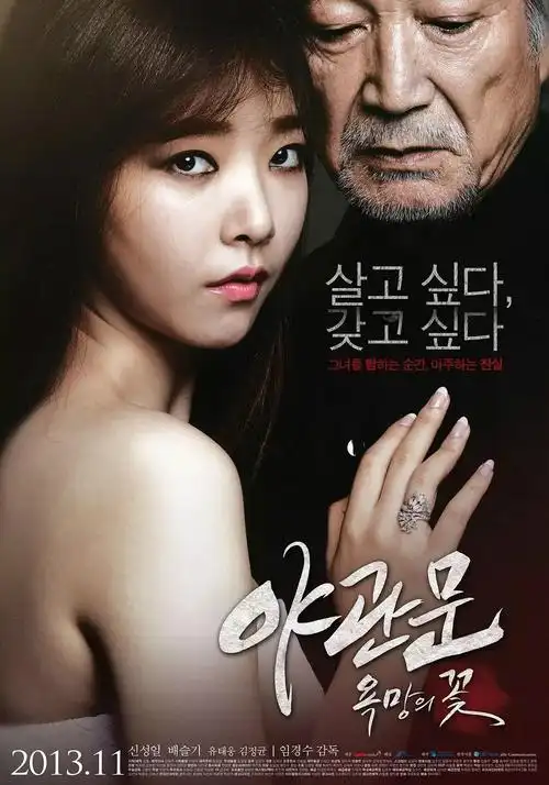 星轨少年热血动漫全集在线观看